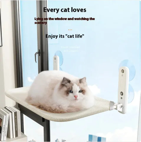 Window Suction Cat Hammock
